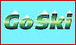 Go Ski Banner